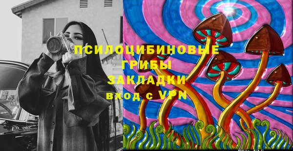 МДПВ Зеленодольск