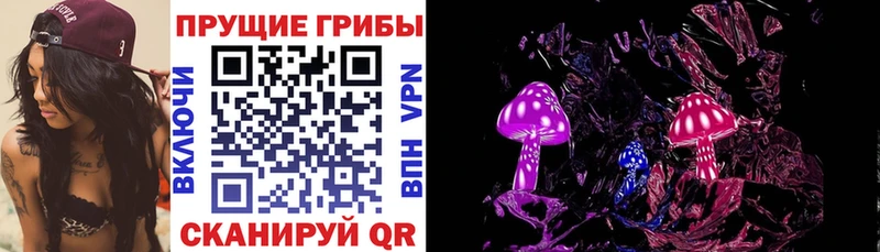 Псилоцибиновые грибы ЛСД  ссылка на мегу ONION  Кыштым 